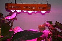 LED Grow Light, Innovative 460W COB