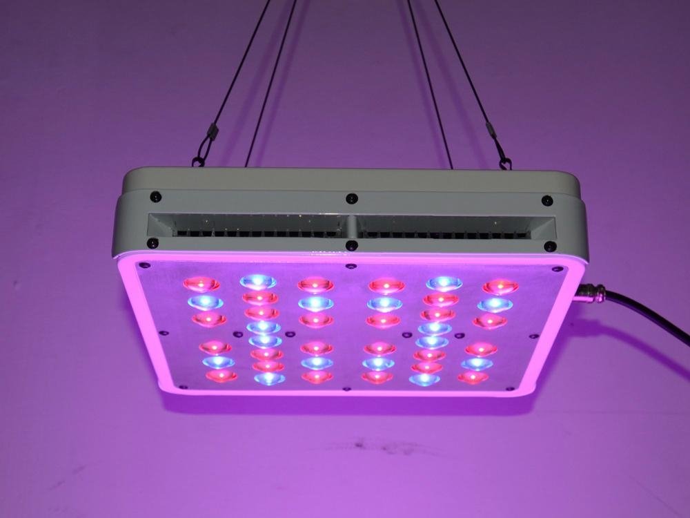 400W high power LED grow lighting 4