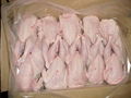 Frozen Halal Whole Chicken