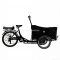 Electric Cargo Bike 1
