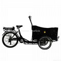 Electric Cargo Bike