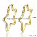 Stainless Steel Fashion Jewelry Earrings 5