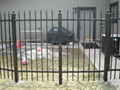 wrought iron fences,competitive price 5