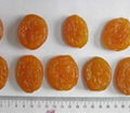 dried apricot 1