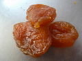 dried apricot 2