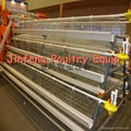 A type 3 tier layer chicken cage  1