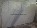 Vietnam greyish marble slab 3