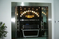 Shenzhen Meteoro Musical Instrument Co., Ltd.