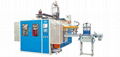 Blow Moulding Machine 2