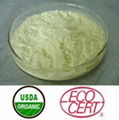 Organic Royal Jelly Powder 10-HDA protein ECOCERT NOP