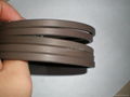 SPGO  oil seal 1