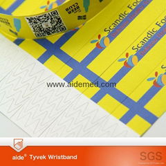 Ticket wristband