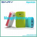 Green Mobile Power Bank with Dual Output PB31 3