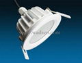 LED Down Light