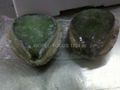 FROZEN Abalone 