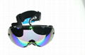 ski goggles 1