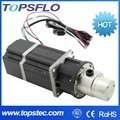 TOPSFLO dc mini gear pump  1