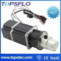 TOPSFLO dc mini gear pump 