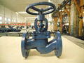 DIN Globe valve 5