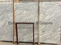 Venato Carrara White Venato Carrara White Slab Bianco Carrara Venato