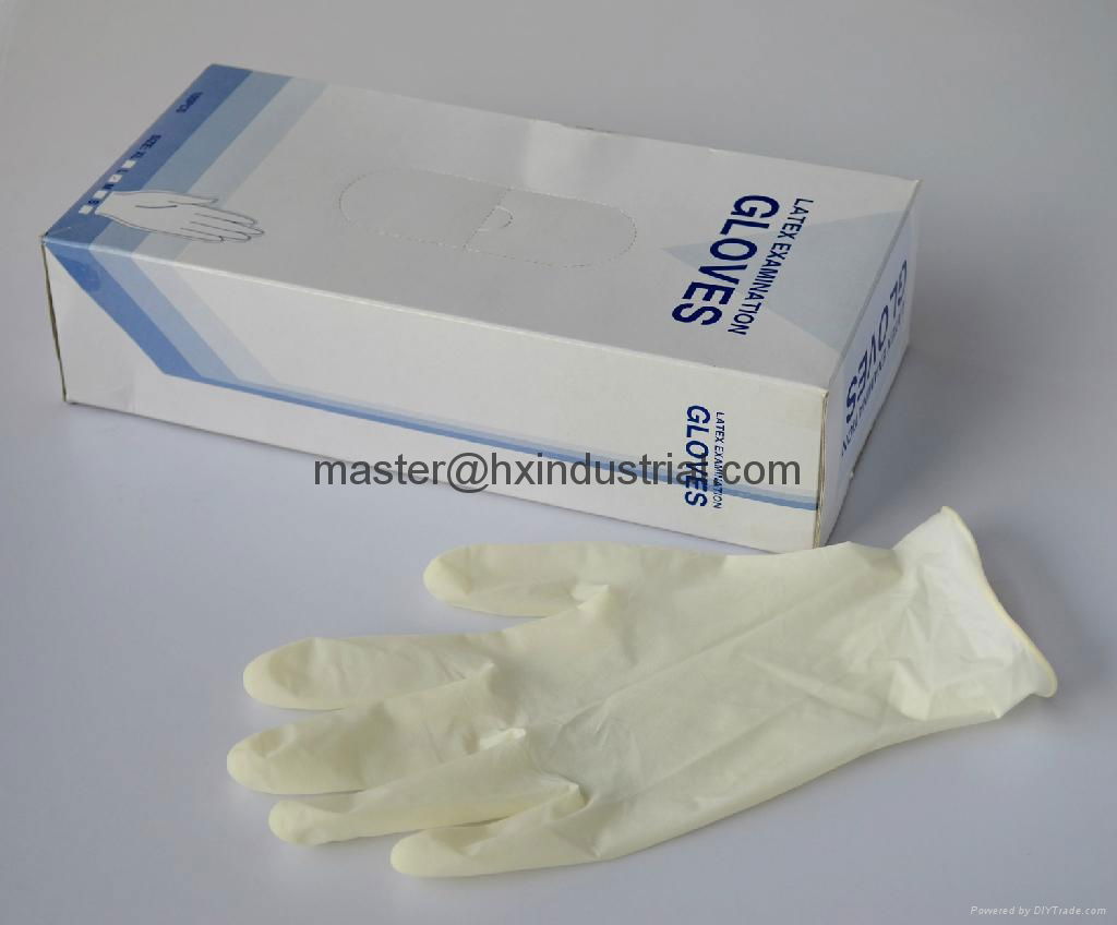 latex examination gloves  3