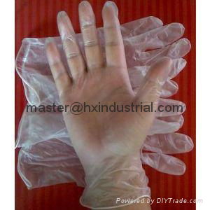 vinyl gloves pvc gloves  2