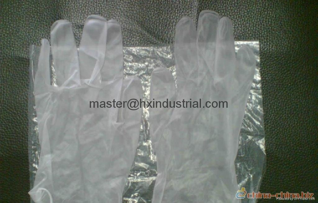 vinyl gloves pvc gloves  5