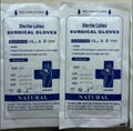 disposable Latex powdered free surgical glove 2