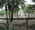 Zoo Mesh,Animal Enclosure,Zoo Enclosure Netting