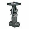 forged steel gate valve