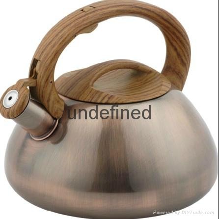 Home Whistling Water Boiler In Stainless Steel Water tea pot 4