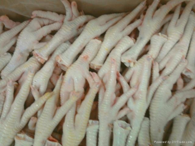 Frozen Chicken FEET available for sale..
