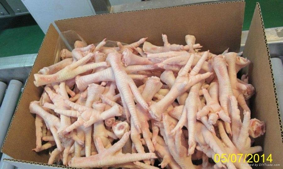 Frozen Chicken FEET available for sale.. 2