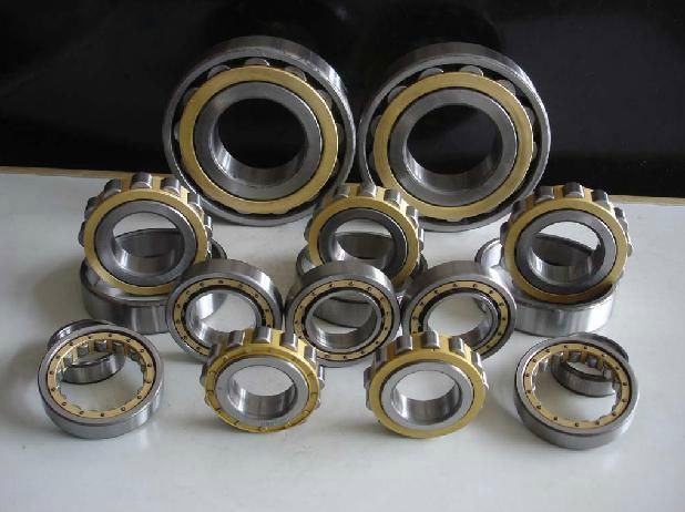 cylinderical roller bearing