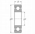 Deep Groove Ball Bearing