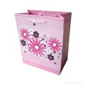 Exquisite Paper Bag Printing,Promotion