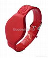 RFID Wristband 2