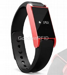 Pedometer wristband