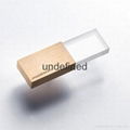 2015 newest Natural Wooden USB flash