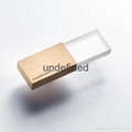 2015 newest Natural Wooden USB flash