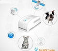 Hot selling Newest Cheap pet mini gps tracker  5