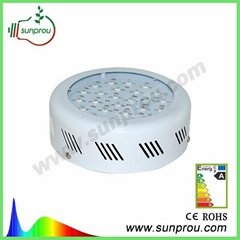 High efficient 80 Watts Full Spectrum led grow light with red and blue lights fo