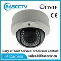 BASCCTV Security CCTV IR Waterproof IP66 IP Camera