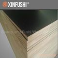 HDO plywood