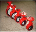 Sicoma Pneumatic Actuator Water Valve