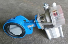 Sicoma Pneumatic Actuator Water Valve