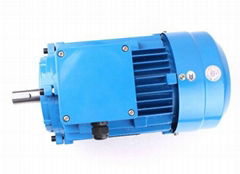 Y2 series three-phase asynchronous motor