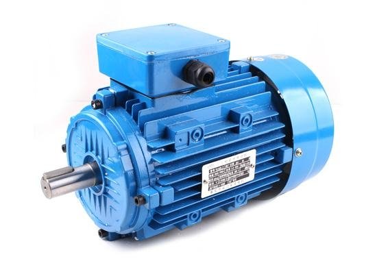 Y2 series three-phase asynchronous motor 2