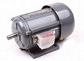 YSW series  three-phase motor