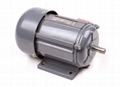 YSW series  three-phase motor 2